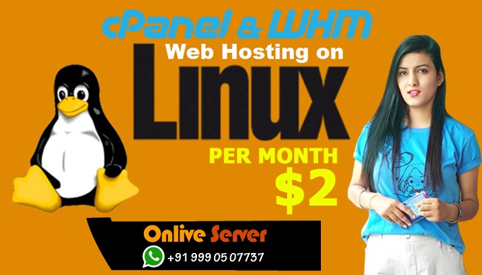 Why Should I Choose Linux Web Hosting Over Windows Web Hosting?