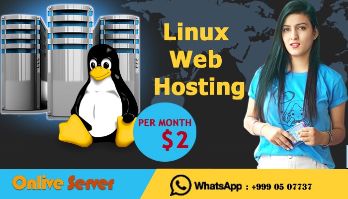 Cheap Linux VPS Flexibility and More Efficiency – Onlive Server