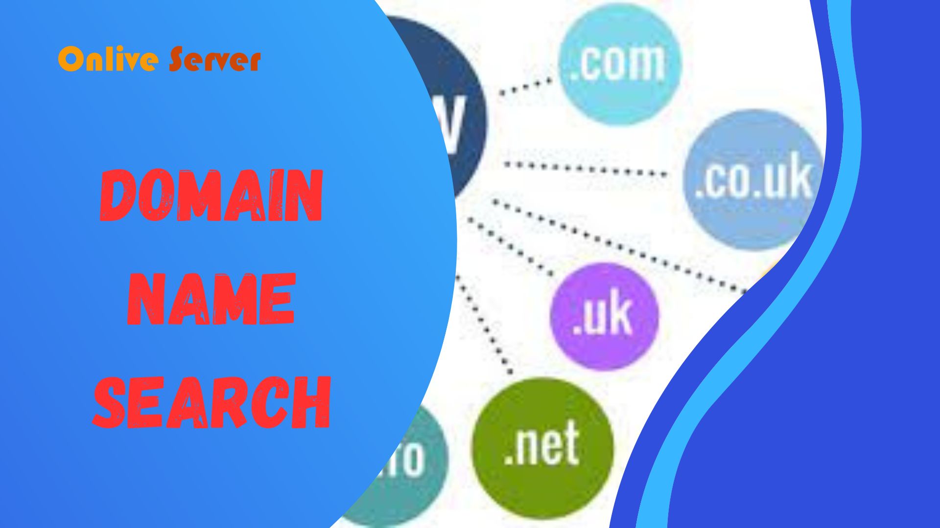 Domain Name Search